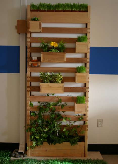 Urban garden ideas - EcoRenovator