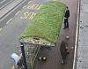 Click image for larger version

Name:	greenbusstop_shefford.jpg
Views:	1884
Size:	75.6 KB
ID:	2159