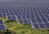 Click image for larger version

Name:	solar_farm1.jpg
Views:	491
Size:	111.6 KB
ID:	3045