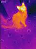 Click image for larger version

Name:	flir_20160322T121255.jpg
Views:	675
Size:	323.0 KB
ID:	6787