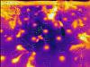 Click image for larger version

Name:	flir_20160322T122449.jpg
Views:	646
Size:	375.5 KB
ID:	6789