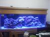 Click image for larger version

Name:	Fish Tank Lights.jpg
Views:	8409
Size:	93.0 KB
ID:	1644